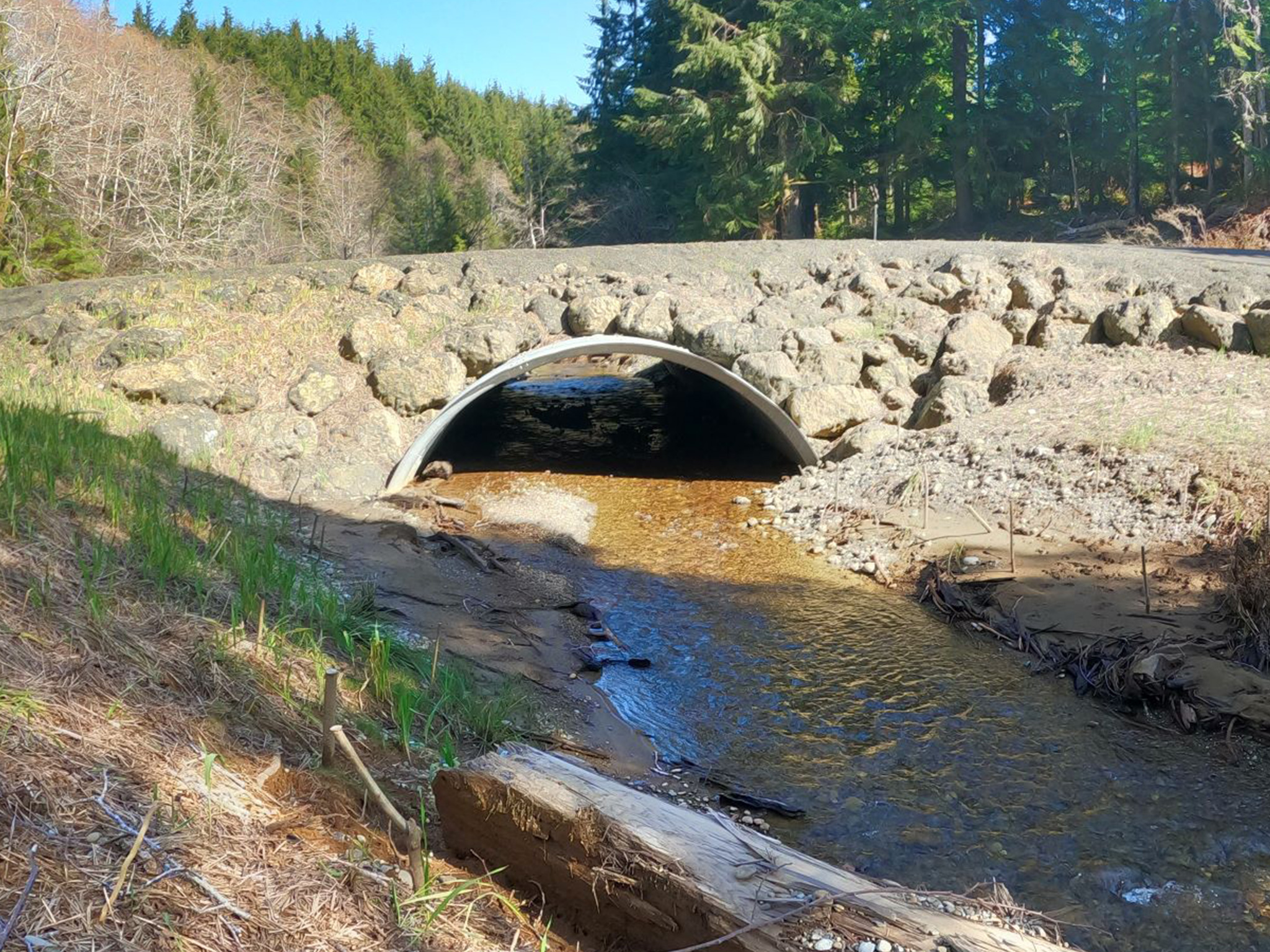 18-1627 Newskah, after