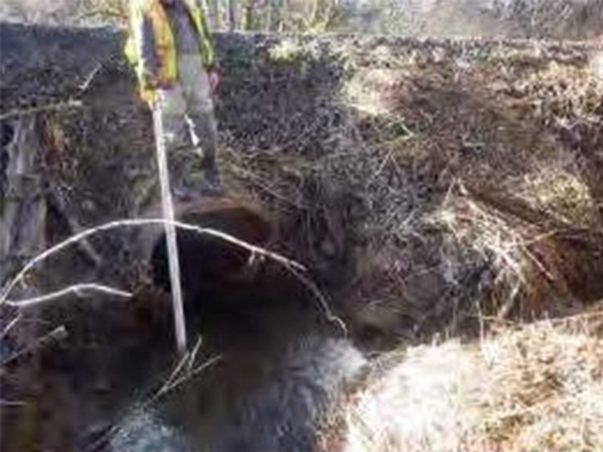 18-1627-newskah-inlet-before 18-1627-newskah-inlet-before