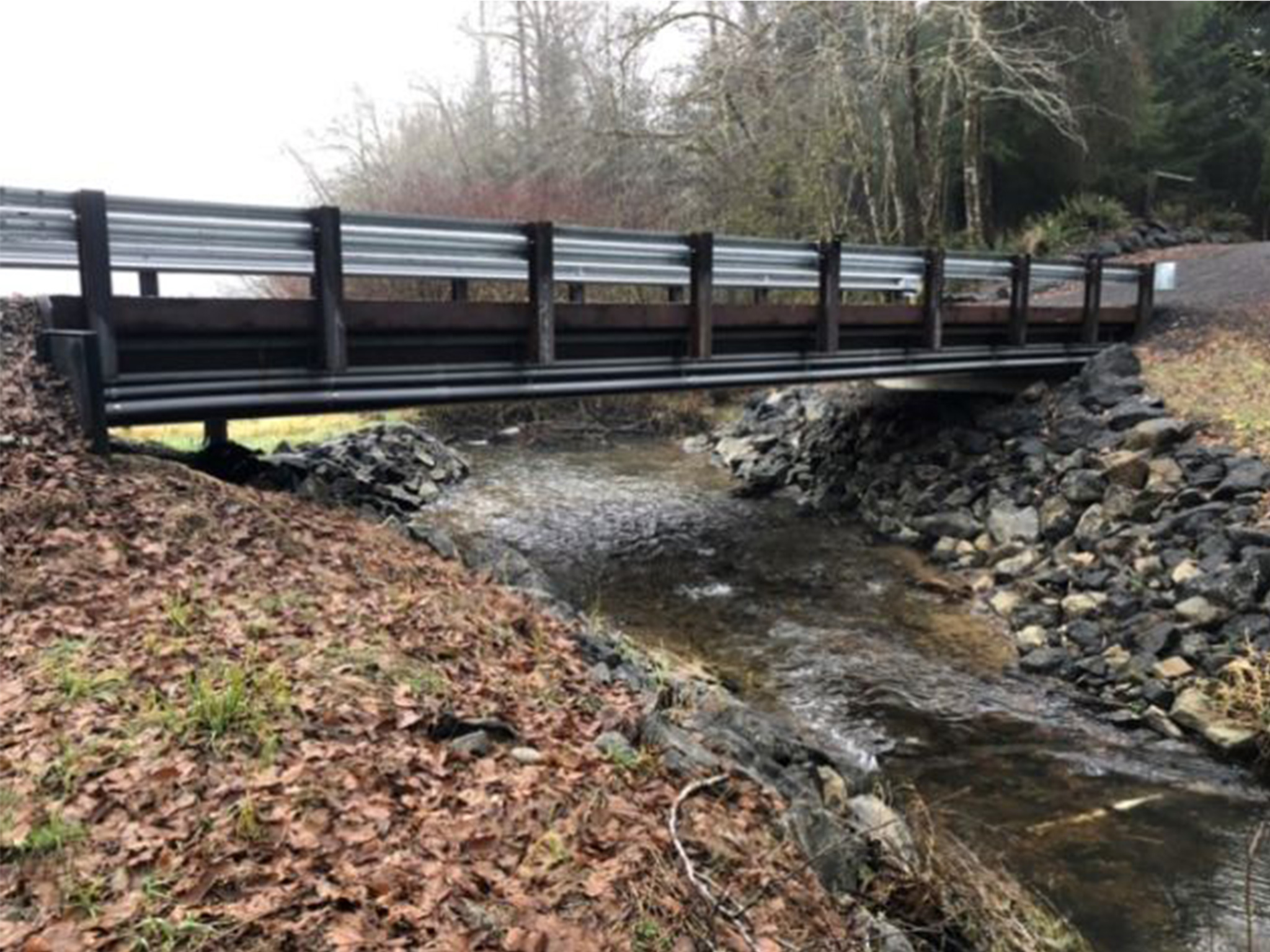 19-1563-geissler-koski-after