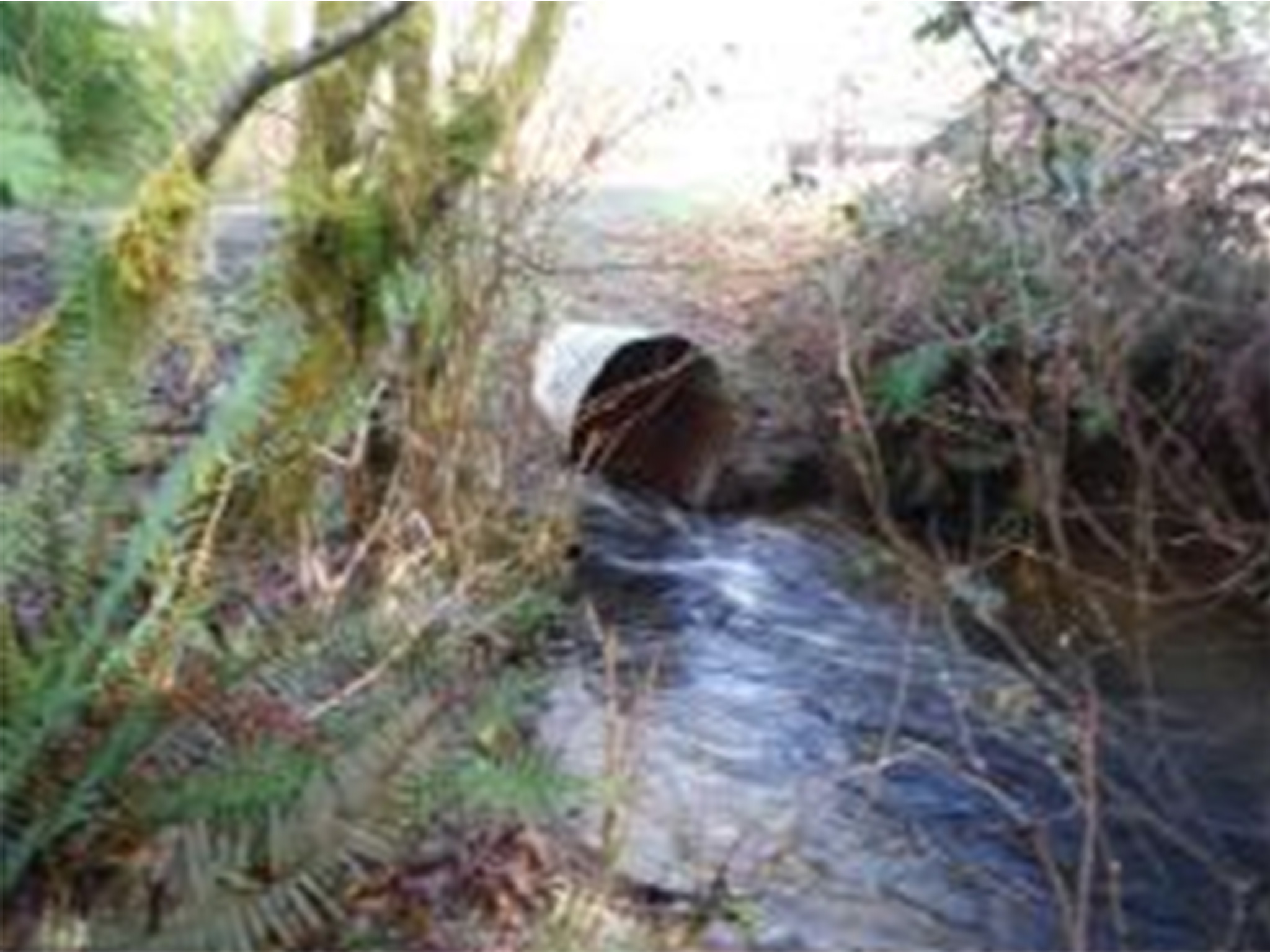 19-1563-geissler-koski-before 19-1563-geissler-koski-before