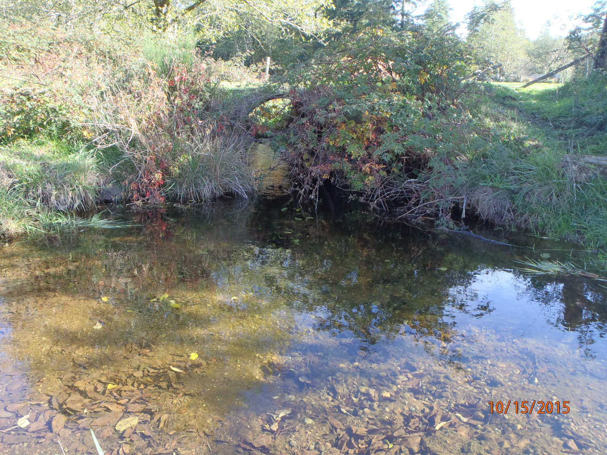 20-1914-stevens-outlet-before 20-1914 Stevens, before